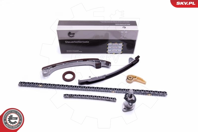 Timing Chain Kit